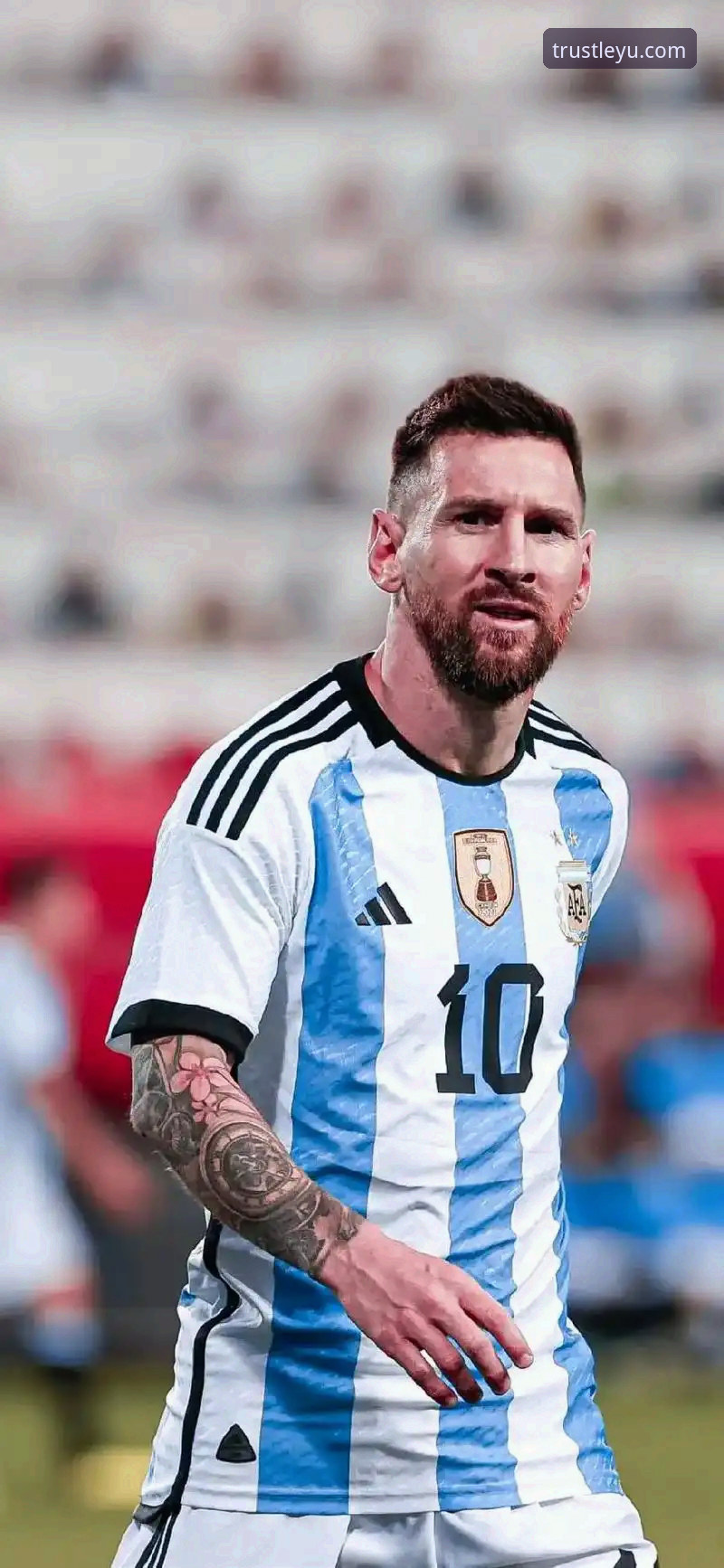 乐鱼体育APP怎么下载 阿根廷新星重伤无缘世界杯,乐鱼体育APP赛事追踪详解