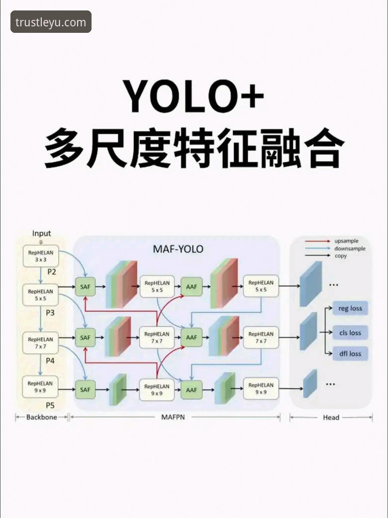 乐鱼体育平台技术架构与用户体验深度解析：从下载到可靠性的全面评测